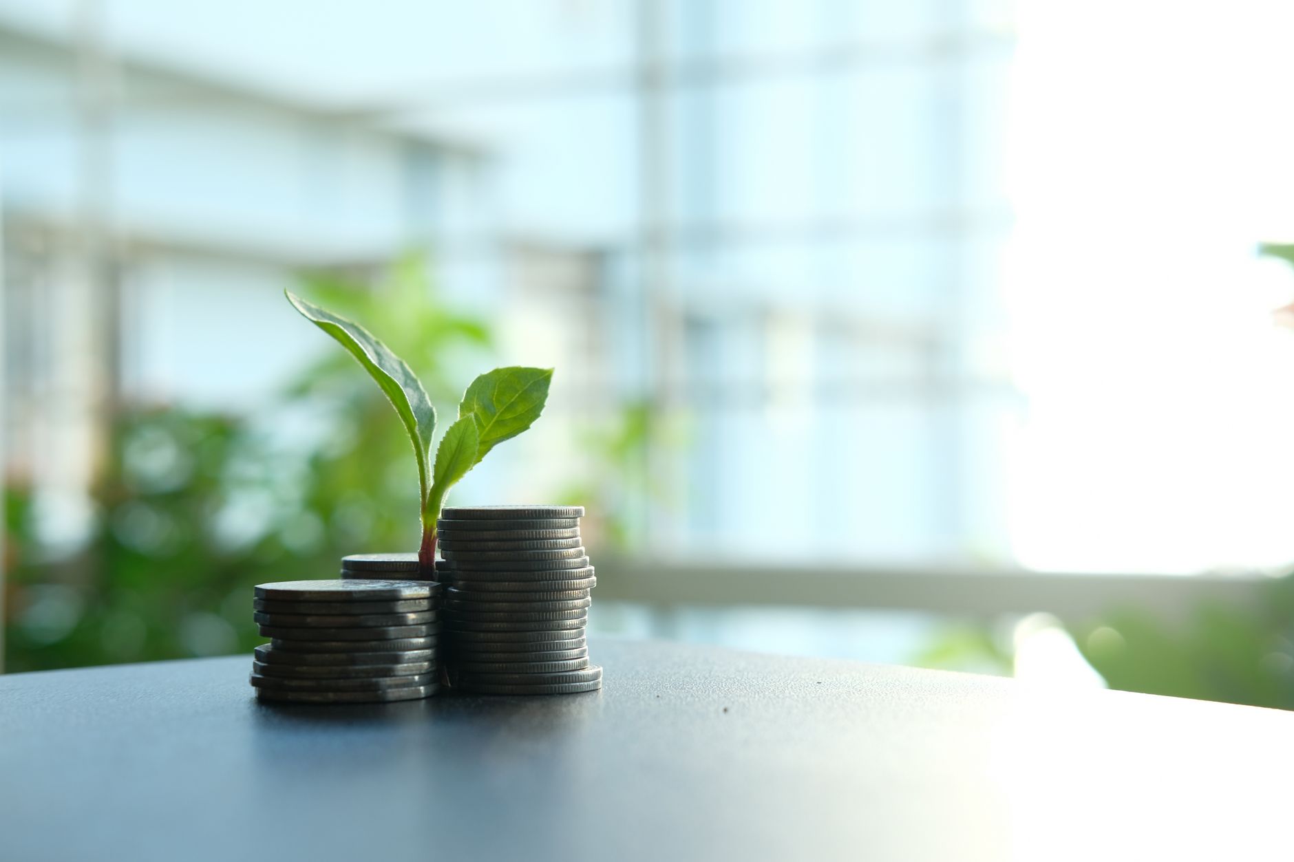 Small plant sprouting from a stack of coins