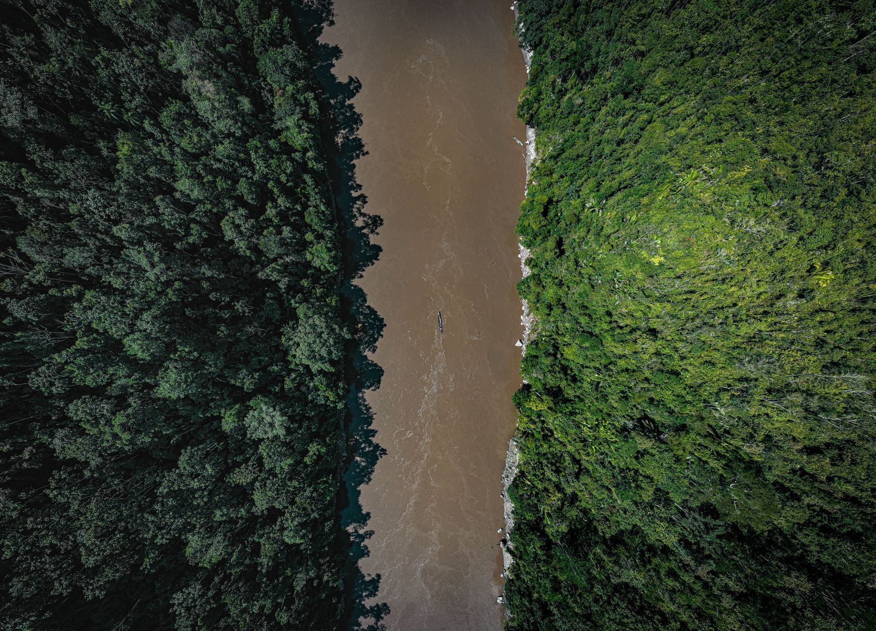 Aerial view of a river cutting through dense rainforest