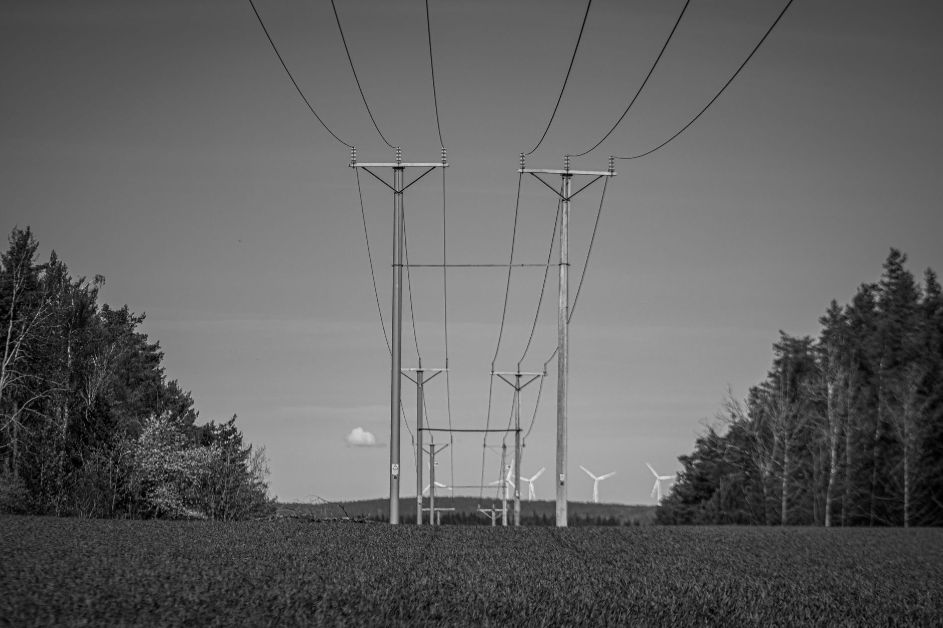 Black and white view of power lines with wind turbines in the distance
