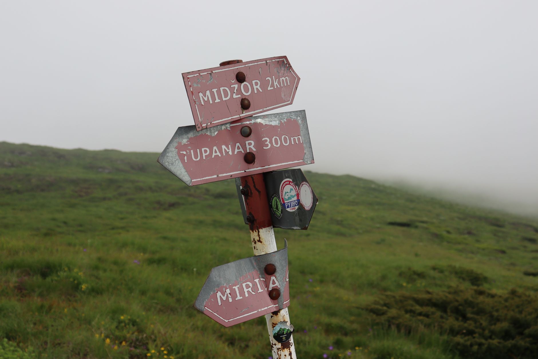 Wooden signpost on a foggy mountain meadow