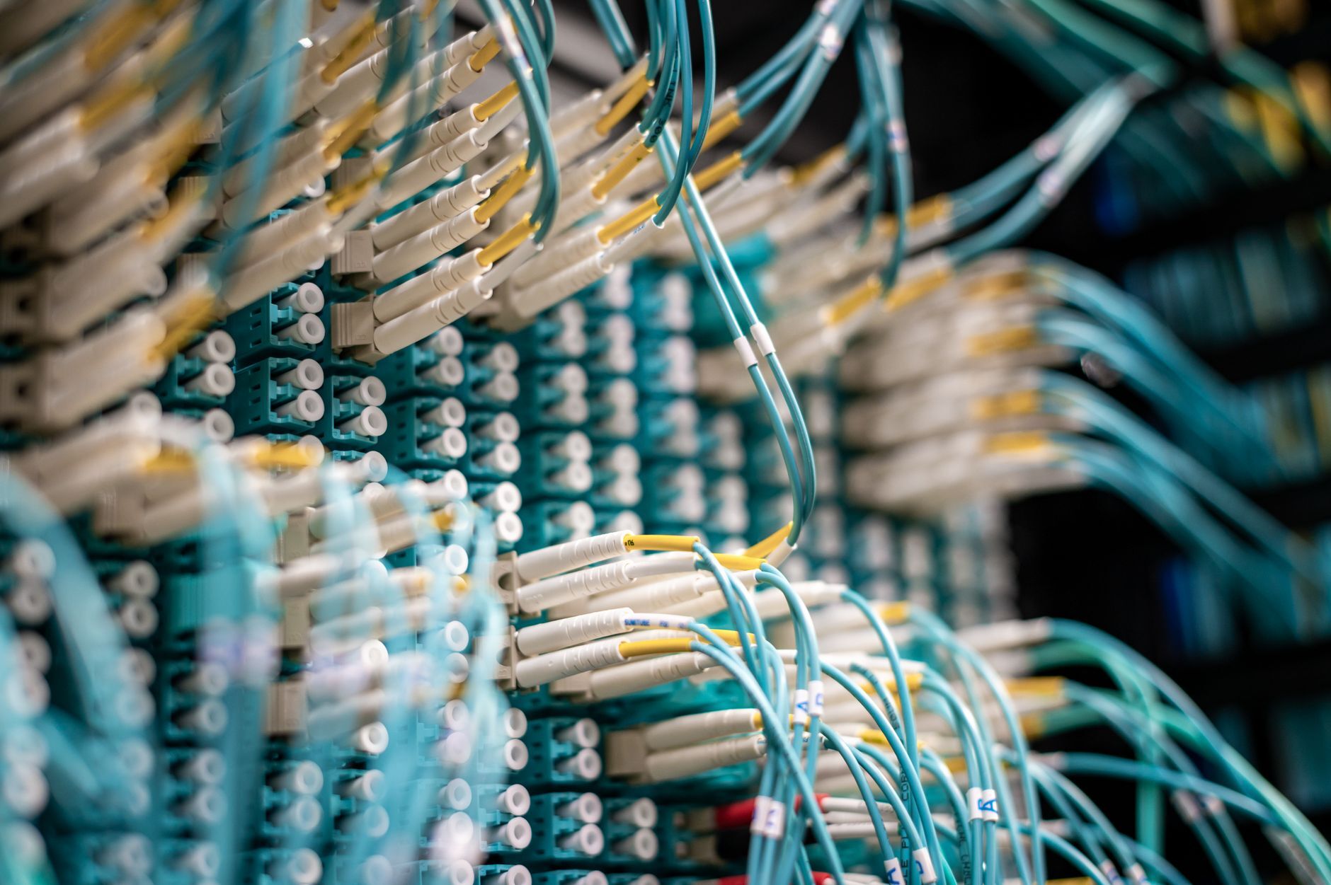 Glasfaserkabel an einem Netzwerk-Switch in Nahaufnahme